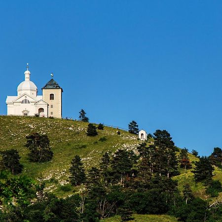 Penzion Terasa Cibulka Mikulov Exterior foto