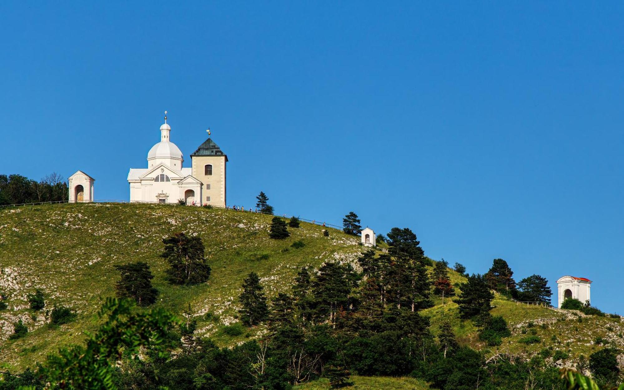 Penzion Terasa Cibulka Mikulov Exterior foto